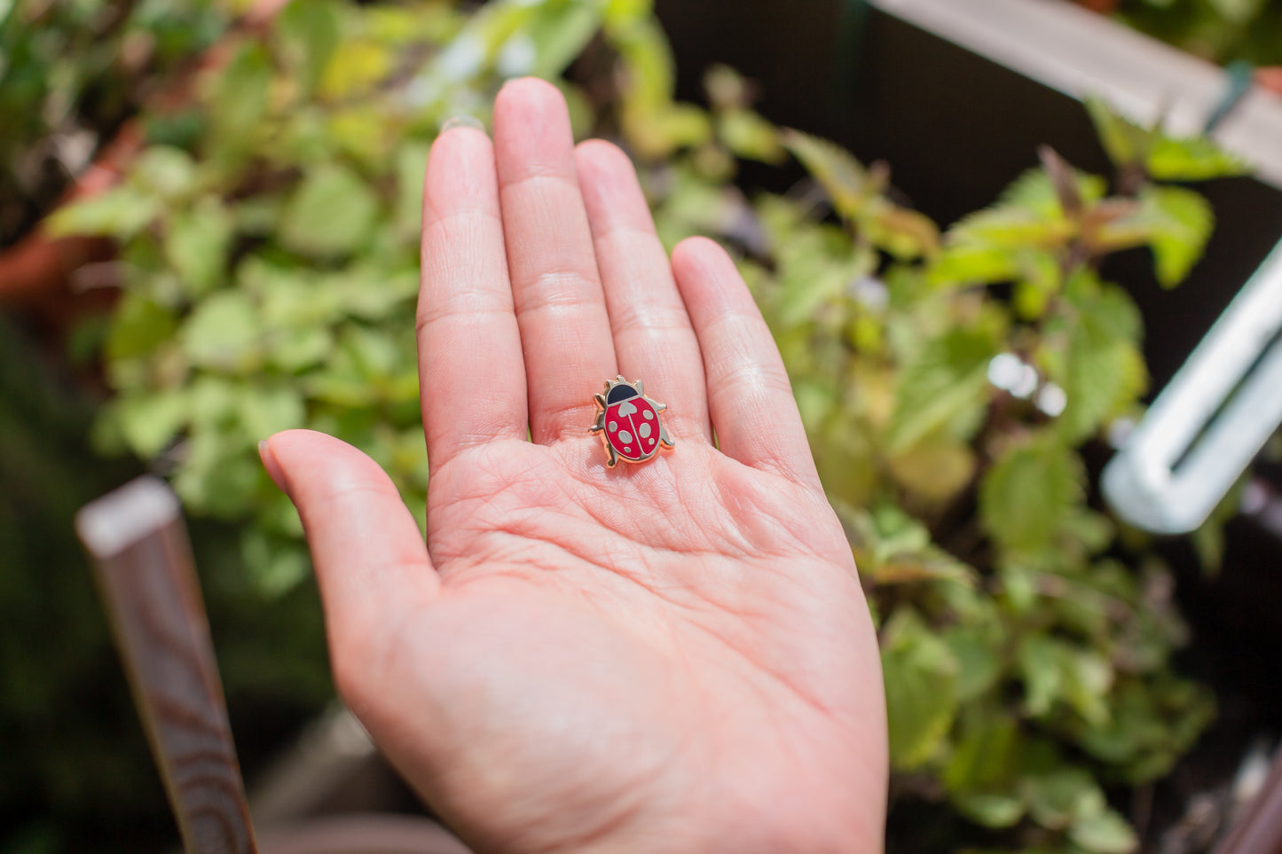 Ladybug Mini Hard Enamel Pin