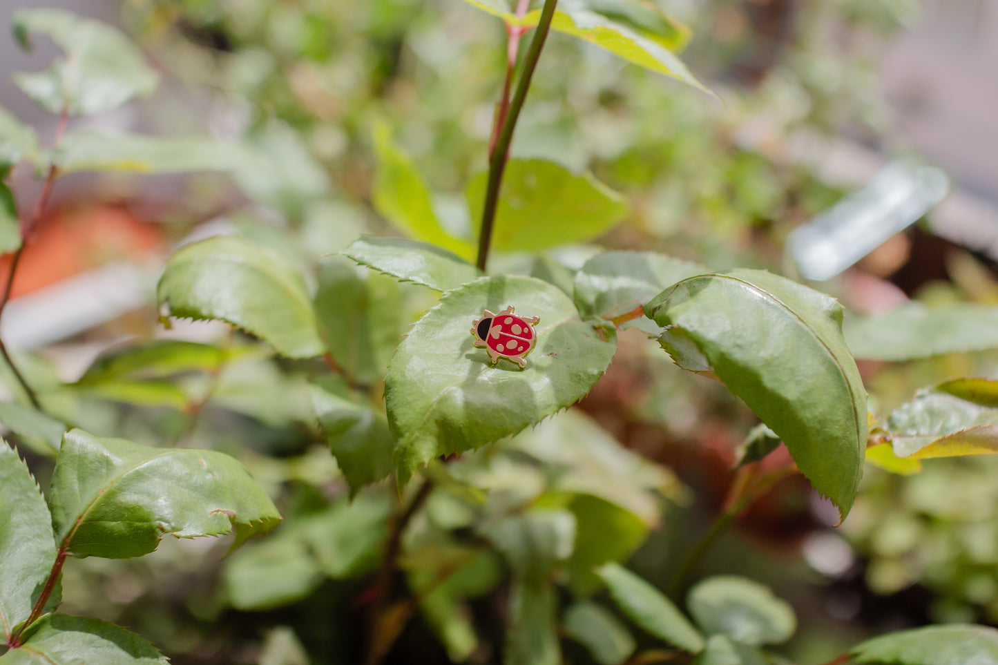 Ladybug Mini Hard Enamel Pin