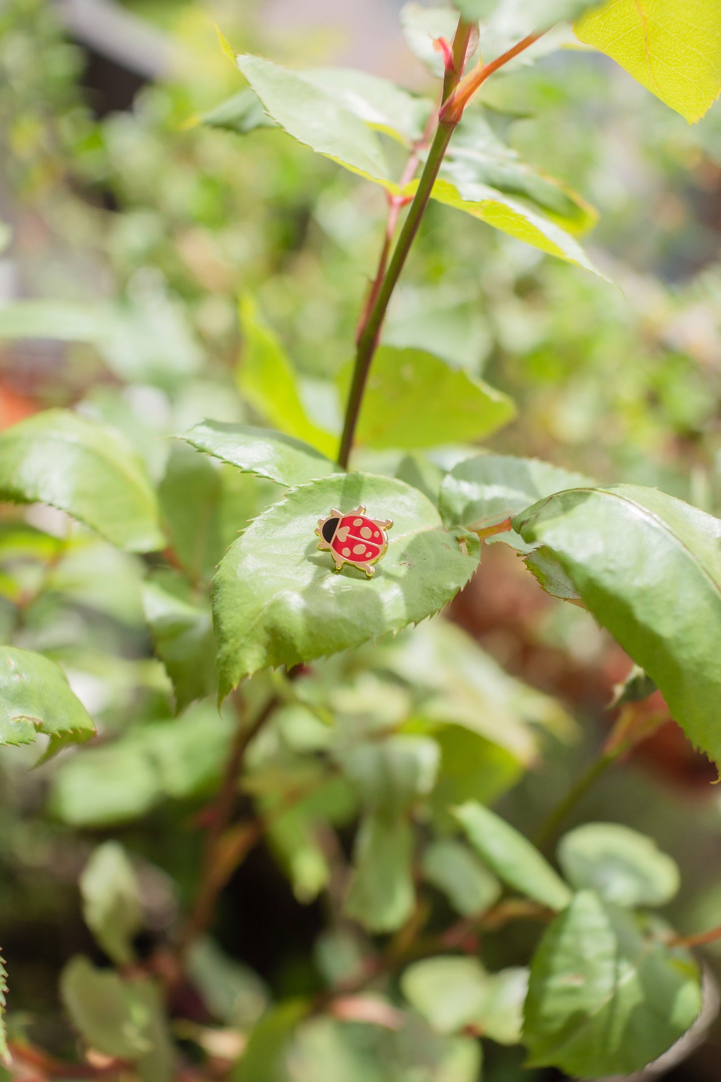 Ladybug Mini Hard Enamel Pin